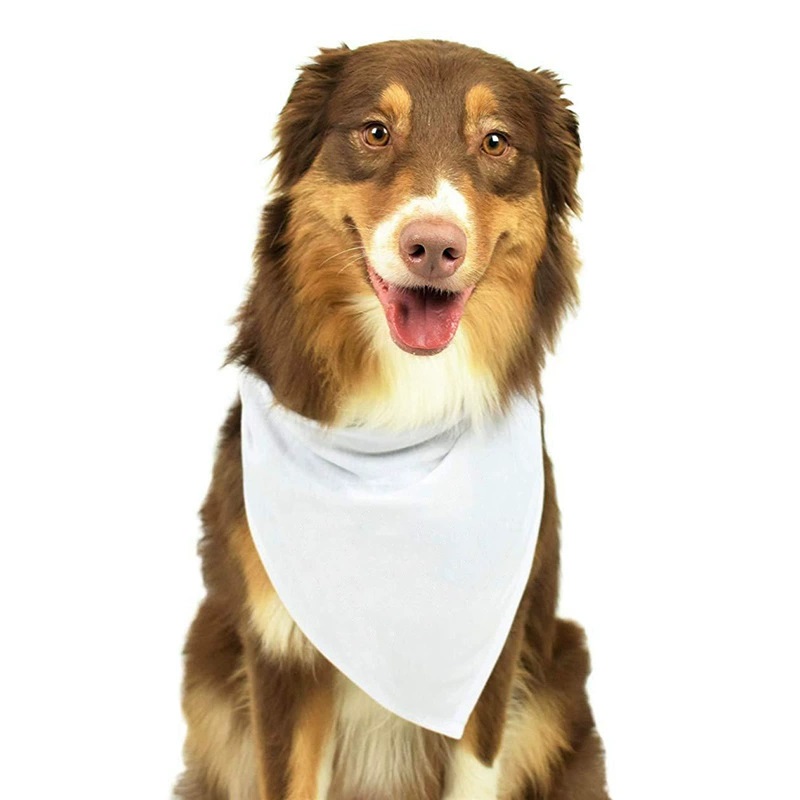 30 шт. белые полиэстеровые пус – обзор и цена Bandana Blank White